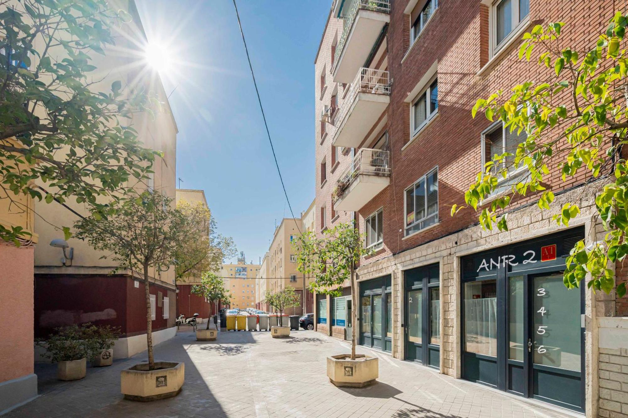 Dobo Madrid Anr2, Madrid